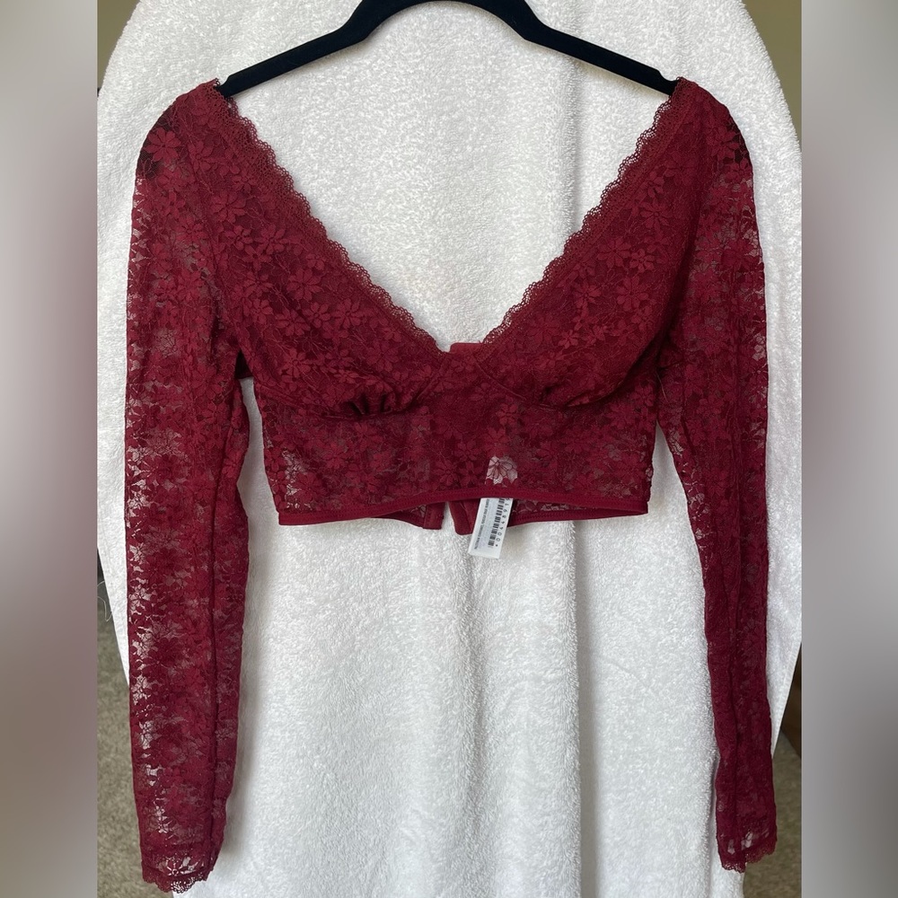 Burgundy red small sheer crop top